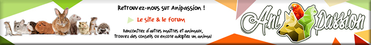 anipassion.com