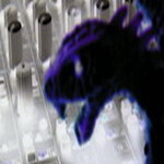 Studiodragon